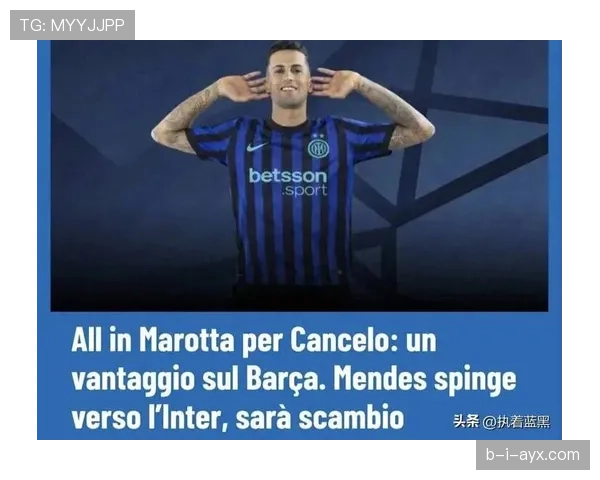 坎塞洛防守判罚引热议,专家详解裁判决定及其对比赛影响 坎塞洛防守判罚引热议,专家详解裁判决定及其对比赛影响