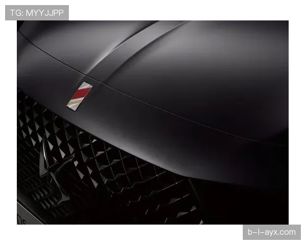 西班牙国家队徽章焕然一新，传承荣耀彰显传统