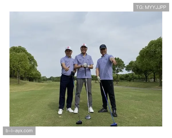 克里斯·韦伯背身单打效率高出内线同侪，塑造球队进攻核心地位